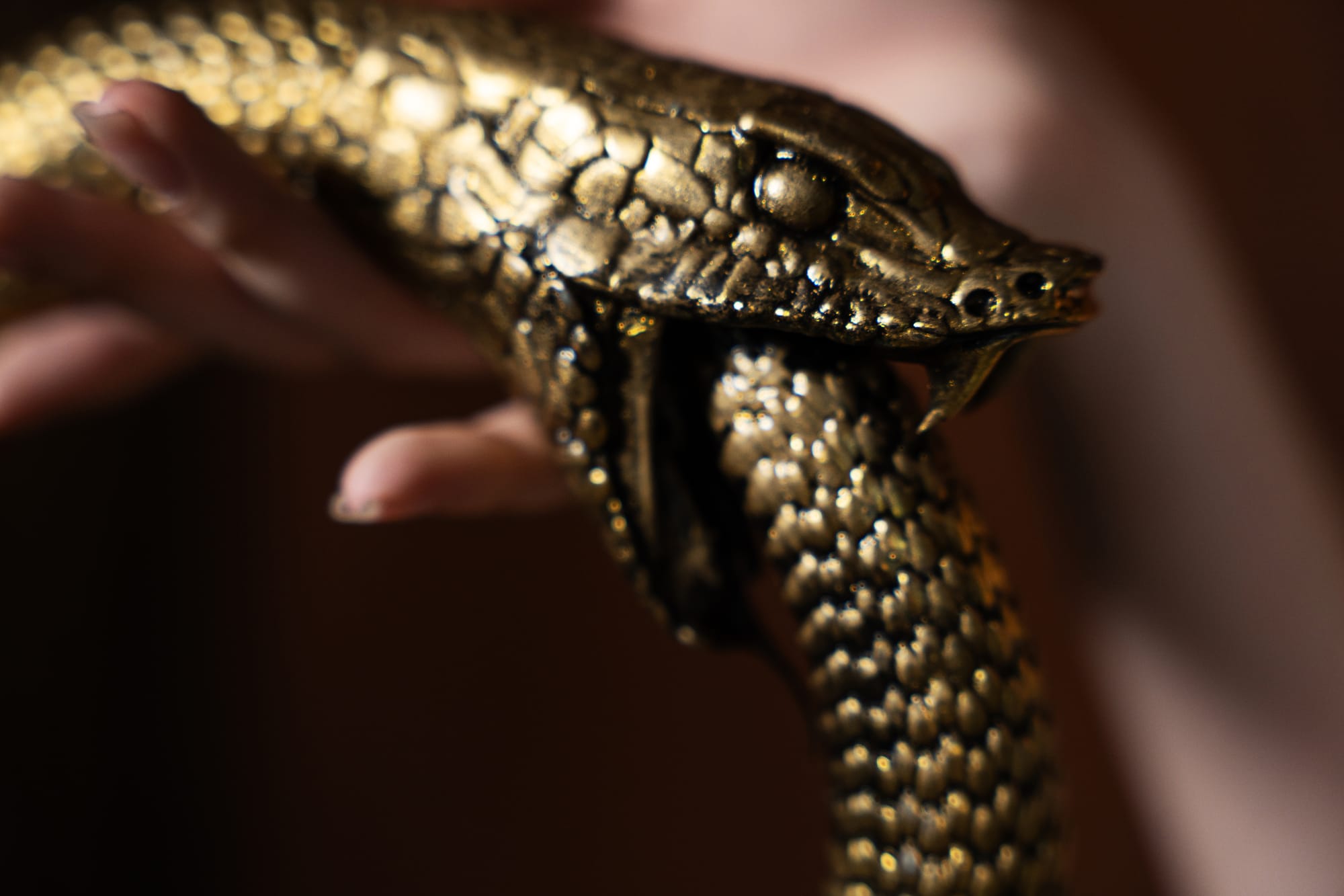 Tử Dương's project